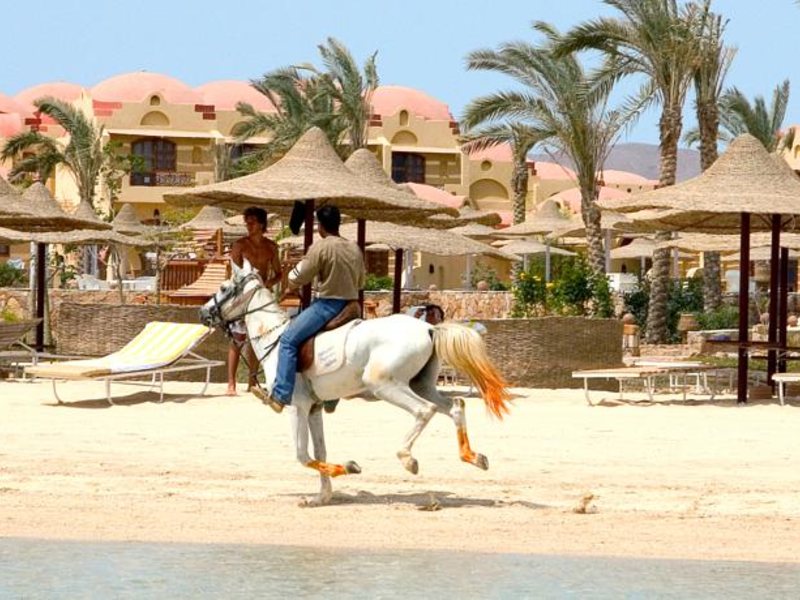 Bliss Abo Nawas Resort Marsa Alam  54661