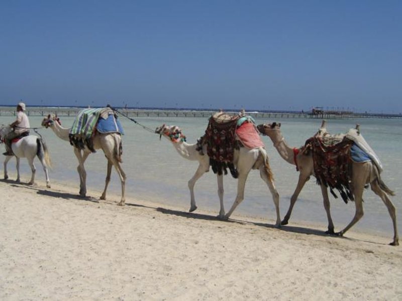 Bliss Abo Nawas Resort Marsa Alam  54681