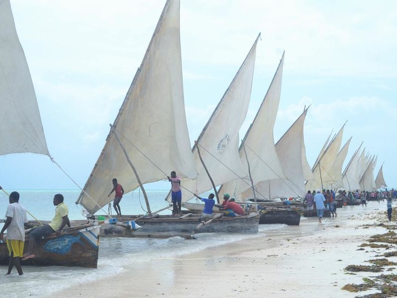 Bliss Beach Lodge 198902