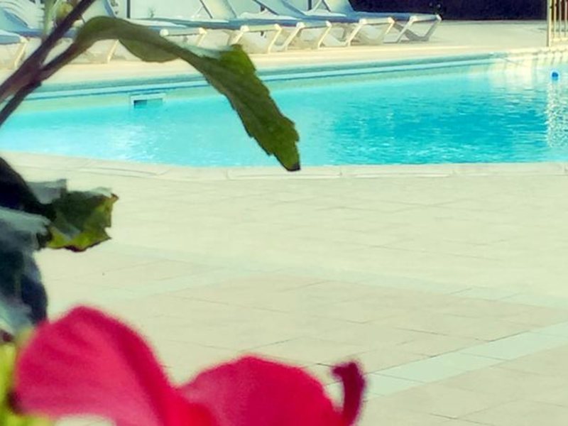 Blue Crane Apts 81637