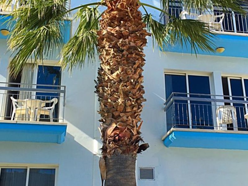 Blue Crane Apts 81639