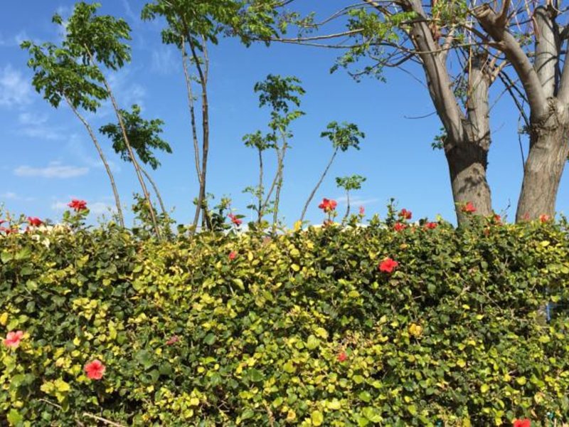 Blue Crane Apts 81640