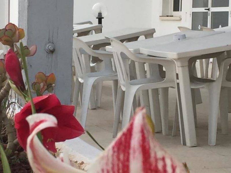 Blue Crane Apts 81641