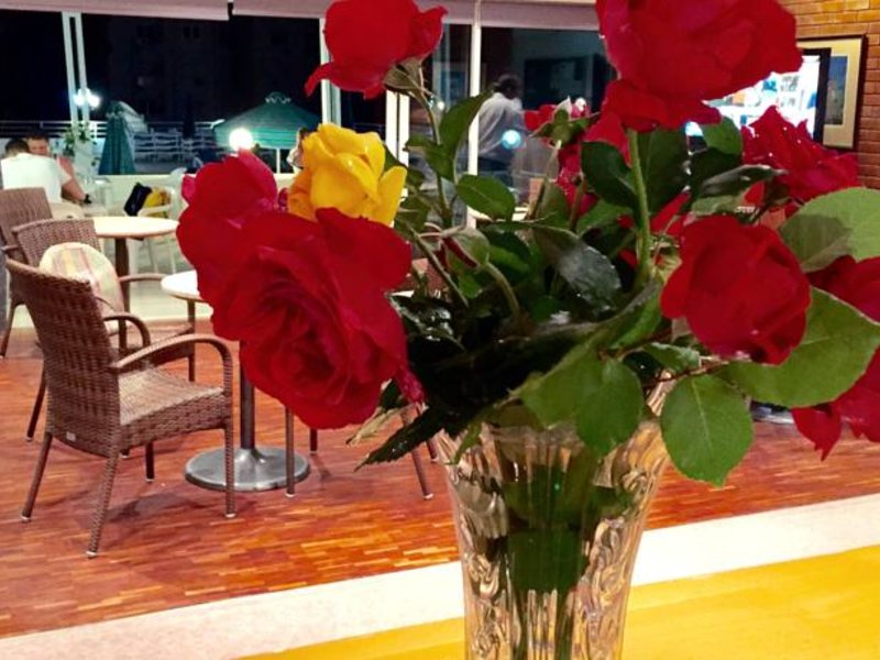 Blue Crane Apts 81642