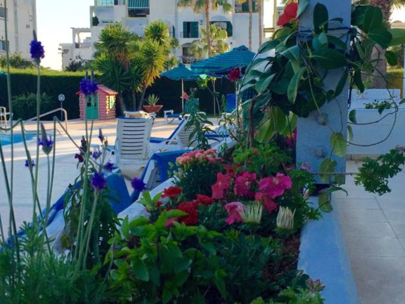 Blue Crane Apts 81643