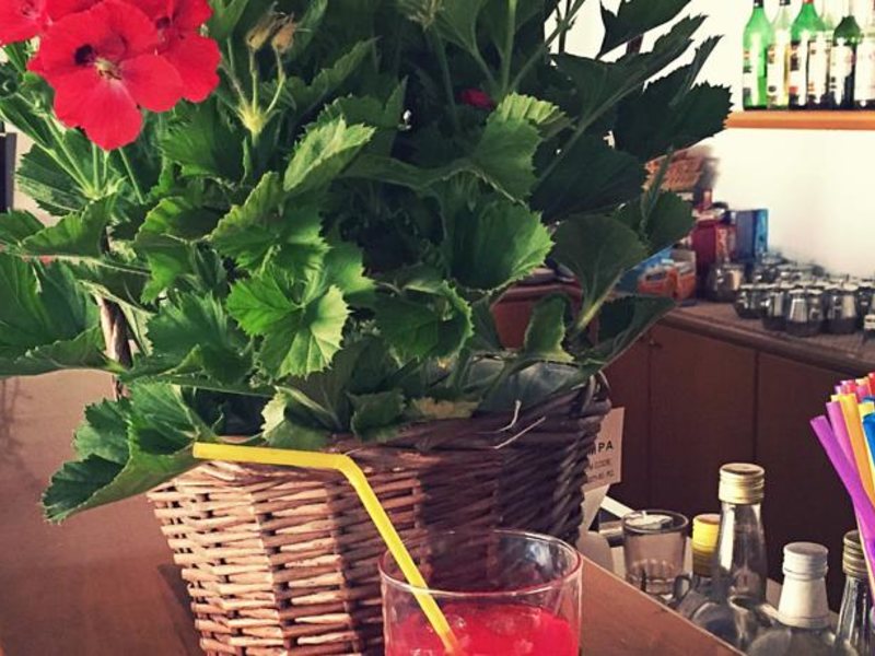 Blue Crane Apts 81652