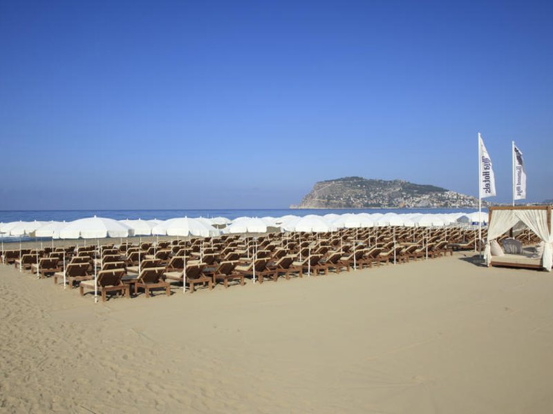 Blue Diamond Alya 184418