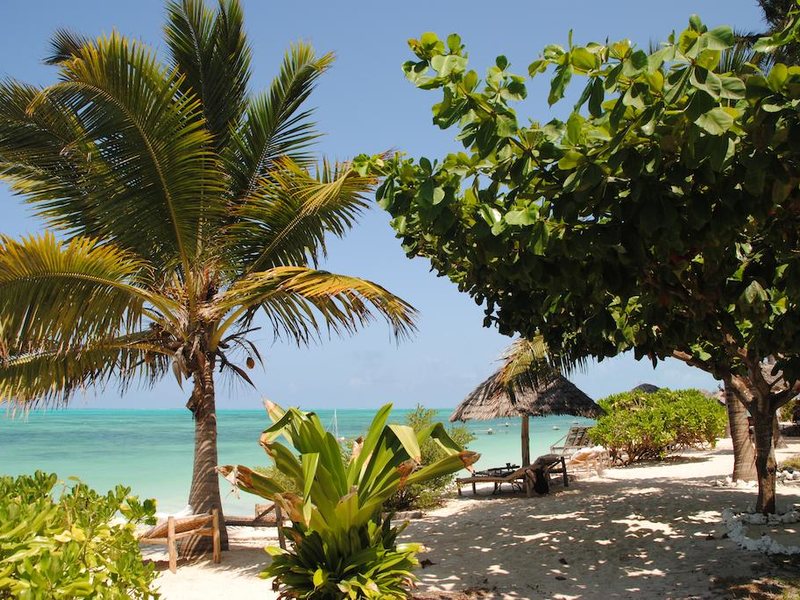 Blue Oyster Hotel  201371