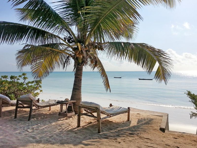 Blue Oyster Hotel  201378