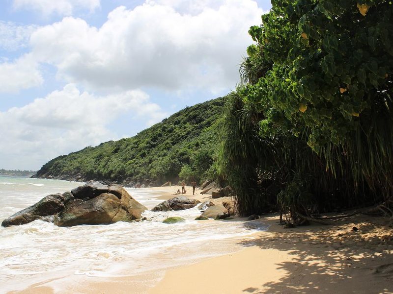 Blue Sky Beach Resort 207203