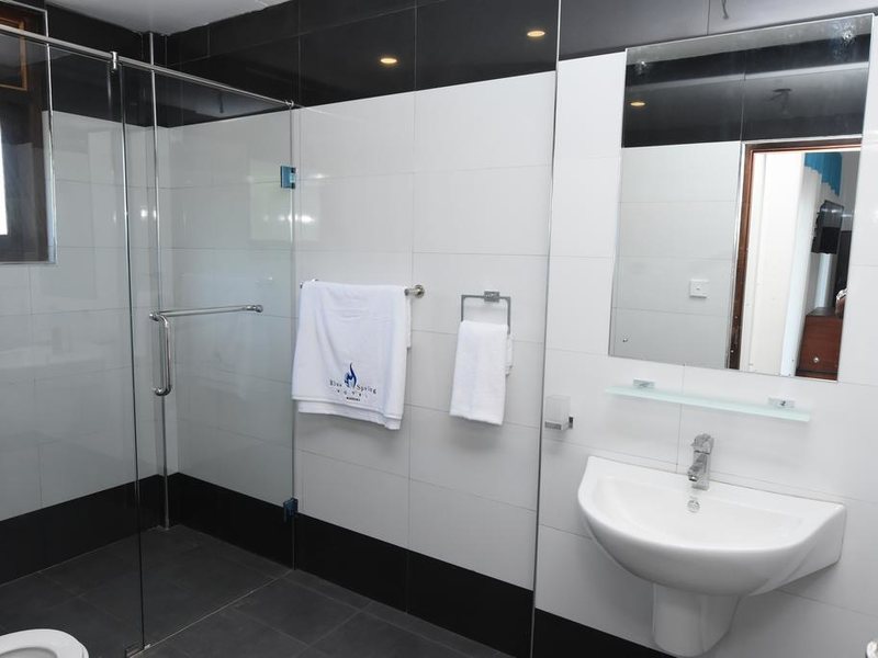 Blue Spring Hotel 193377