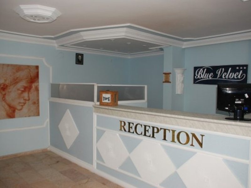 Blue Velvet Hotel 33209
