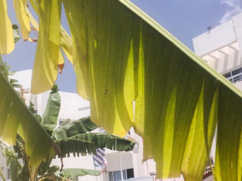 Boronia Hotel Apts 80697