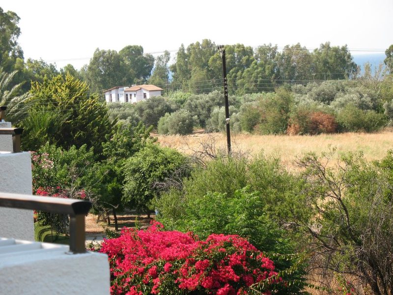 Bougainvillea Apartments 204764