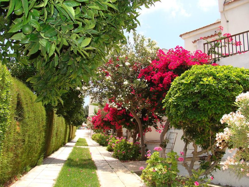 Bougainvillea Apartments 204775