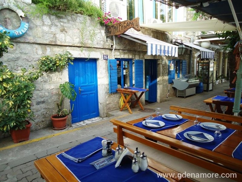 Bozo Tri Ribara  Class  307778