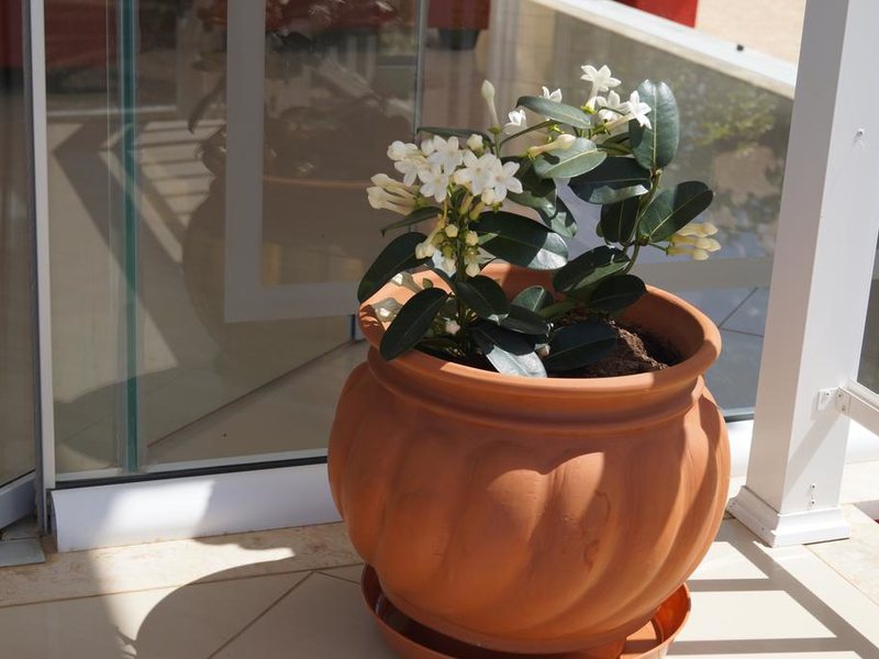 Brati-Arcoudi Hotel 253834