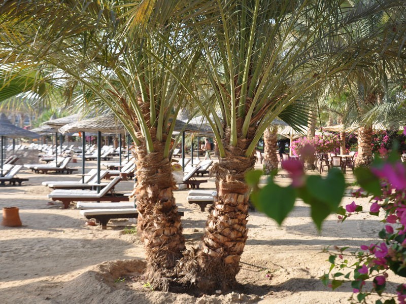 Brayka Bay Reef Resort (ех 130867