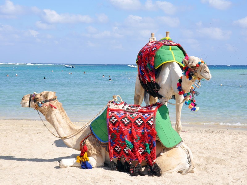 Brayka Bay Reef Resort (ех 130874