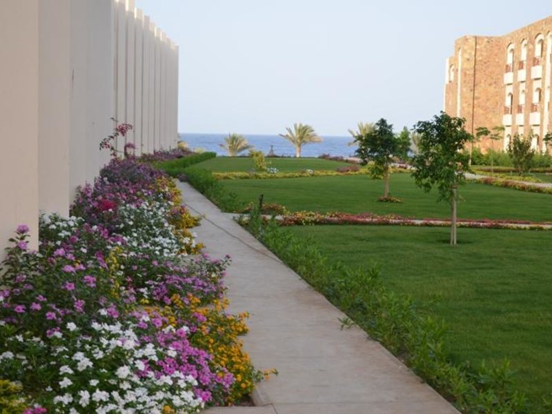 Brayka Royal Marsa Alam (ex 35558