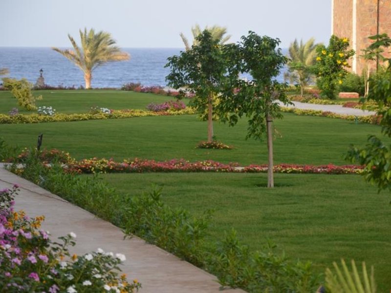 Brayka Royal Marsa Alam (ex 35560