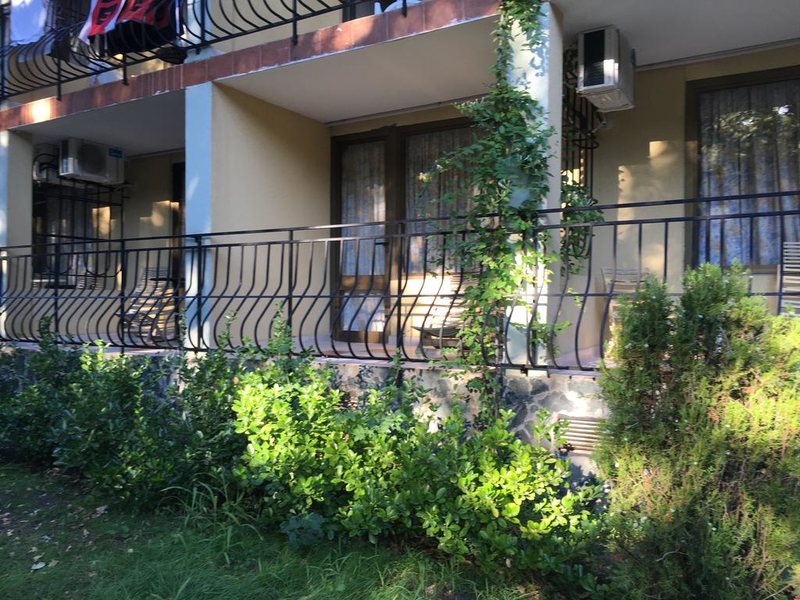 Briz (Golden Sands)  164353