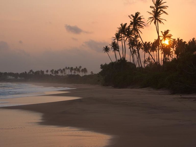 Buckingham Place 111100