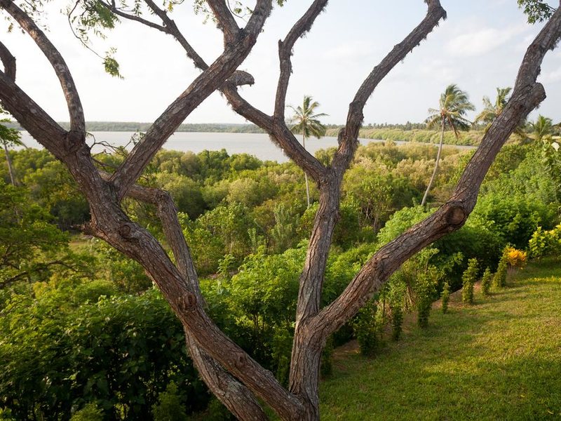 Buckingham Place 111103