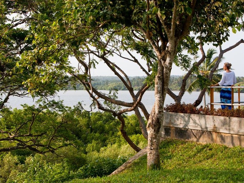 Buckingham Place 111114