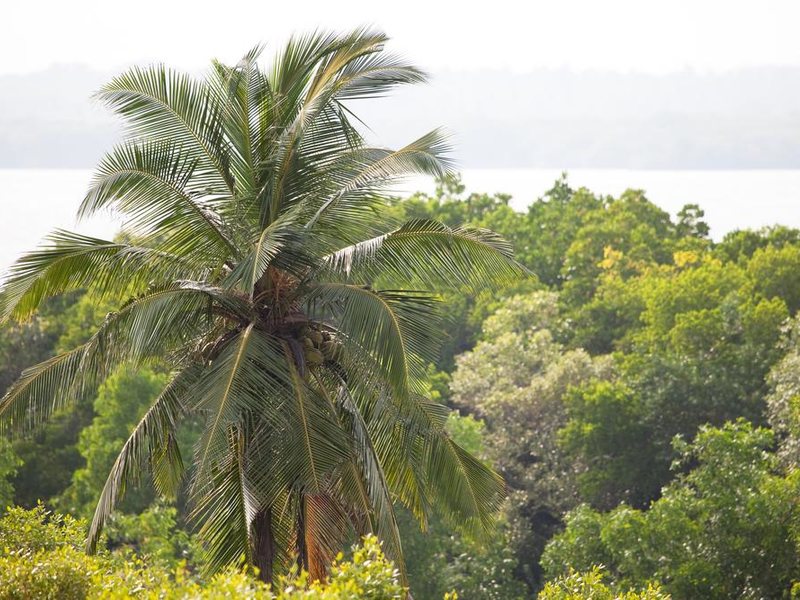 Buckingham Place 111134