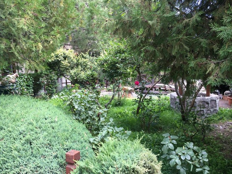 Burcu Kaya Hotel 184525