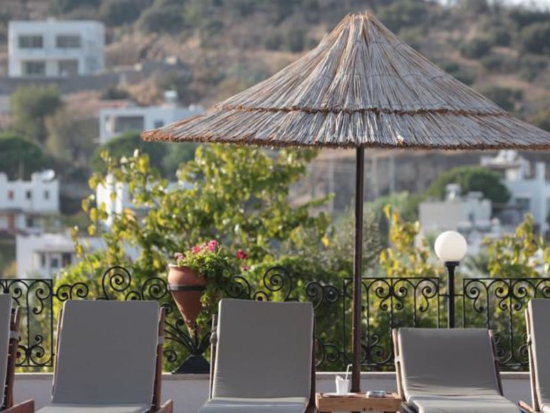 Cactus Charme Hotel 60157