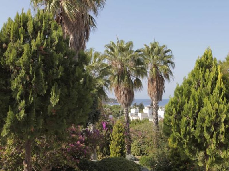 Cactus Charme Hotel 60170