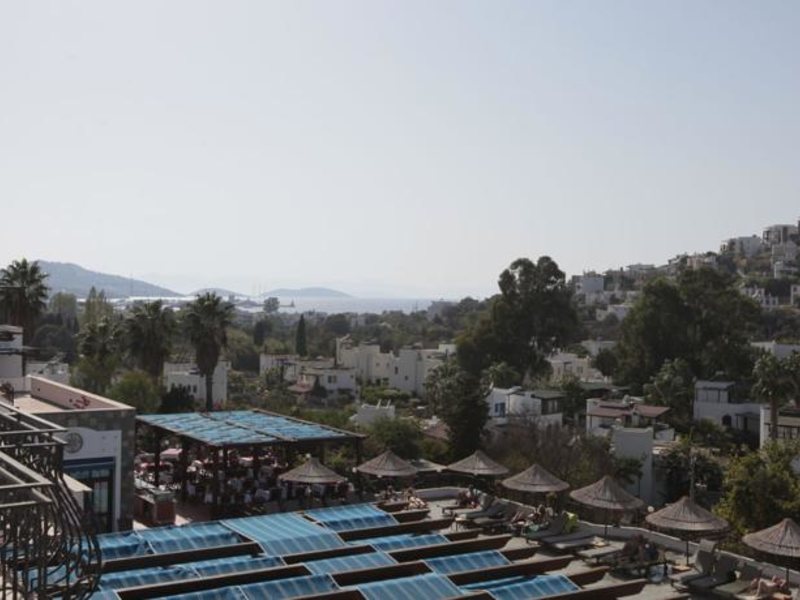 Cactus Charme Hotel 60177