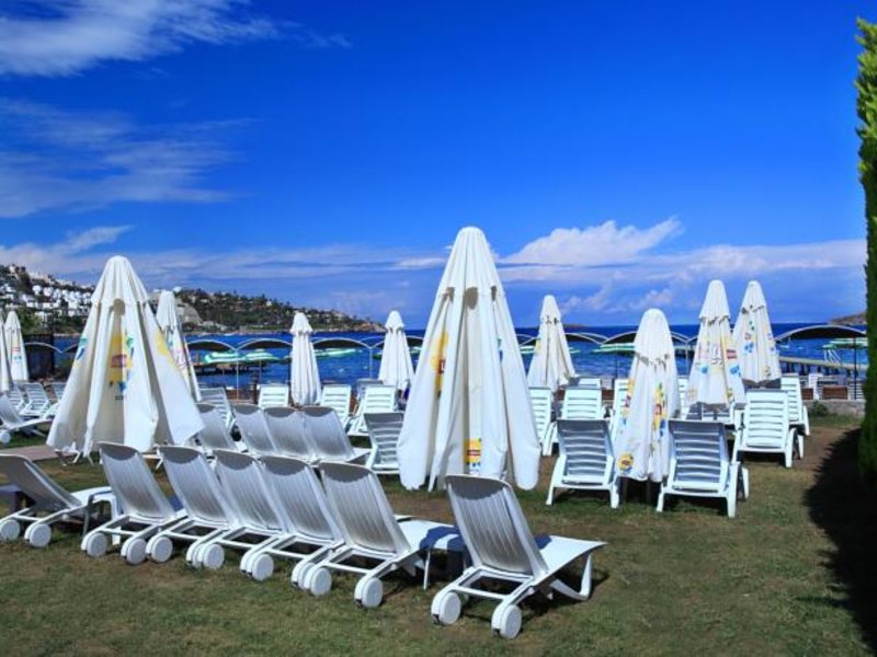 Cactus Fleur Beach Club 158745