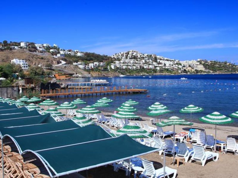 Cactus Fleur Beach Club 158747