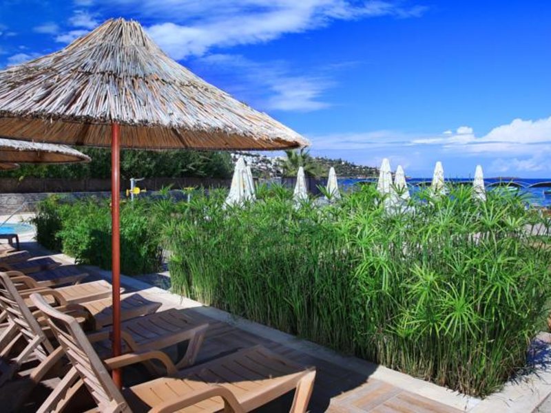 Cactus Fleur Beach Club 158748