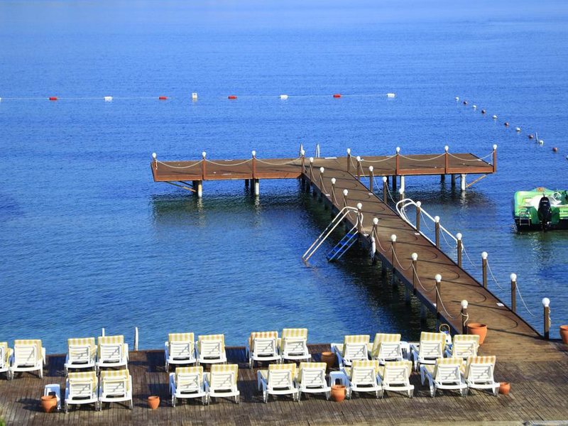 Cactus Mirage Family Club 294665