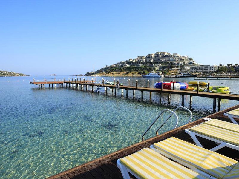 Cactus Mirage Family Club 294666