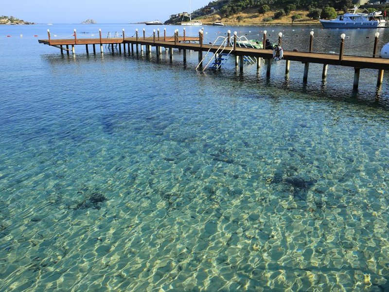 Cactus Mirage Family Club 294667