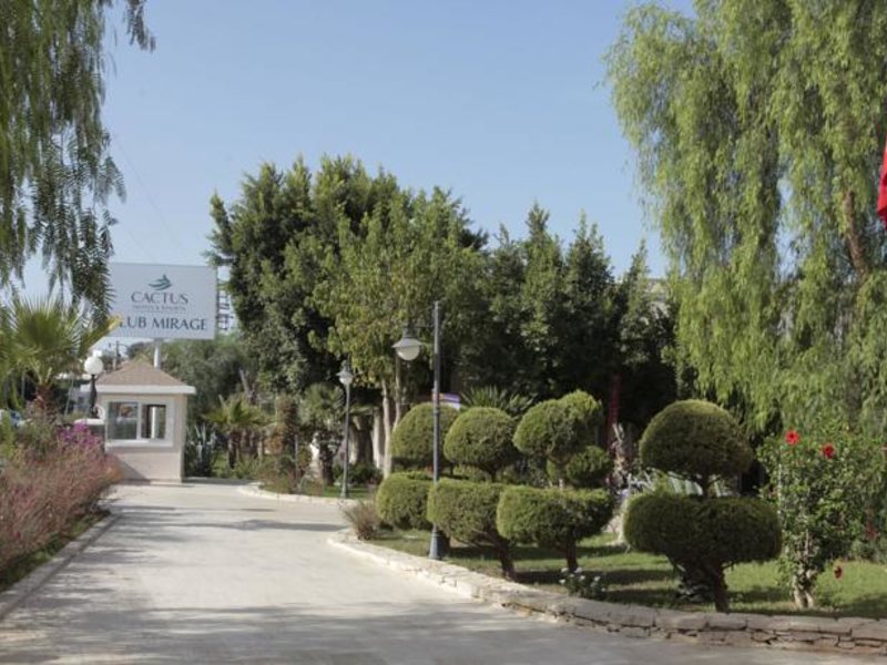 Cactus Mirage Family Club 63586