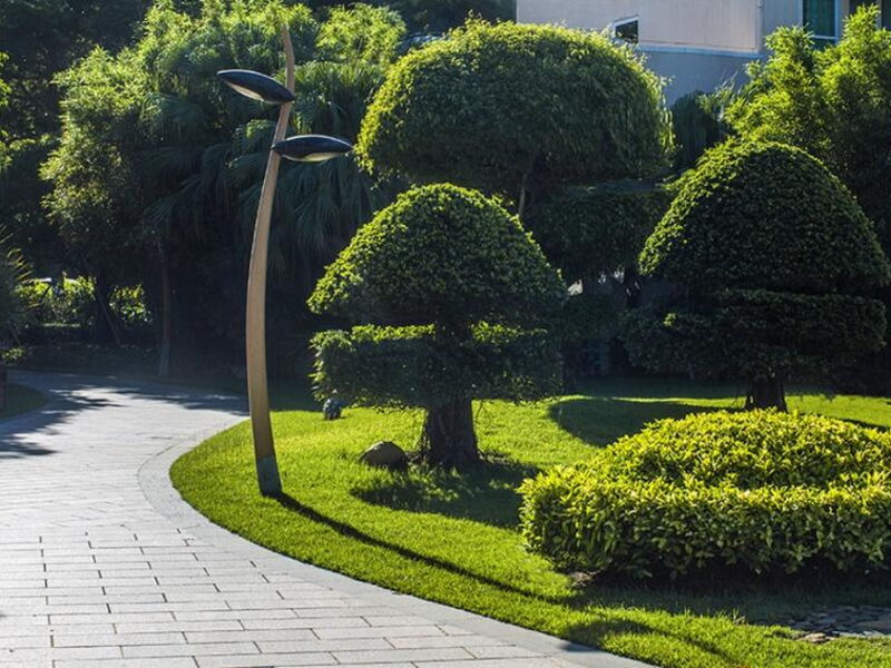Cactus Resort Sanya 298349