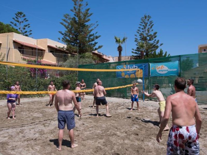 Cactus Village 77387