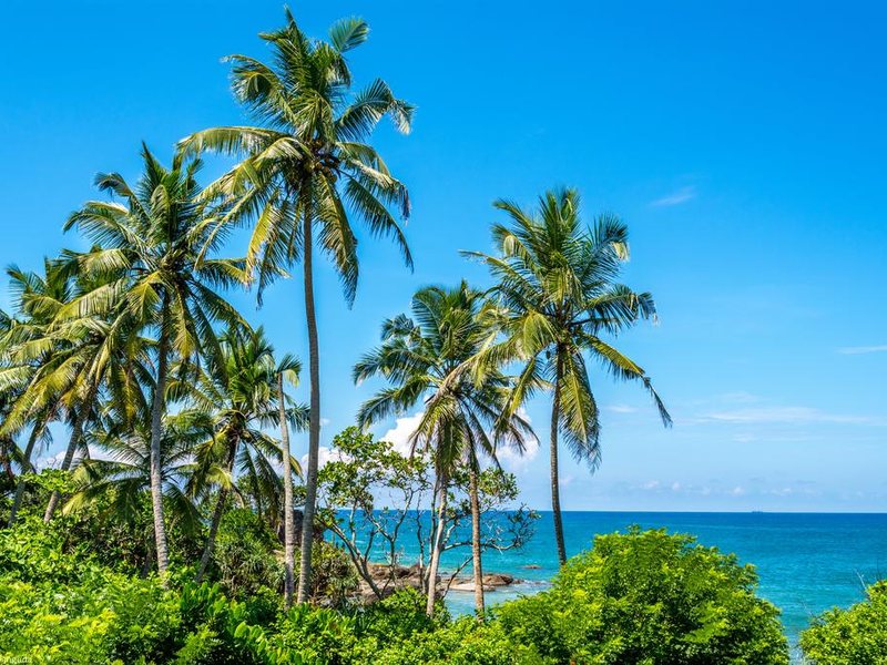 Calamansi Cove By Jetwing  109597