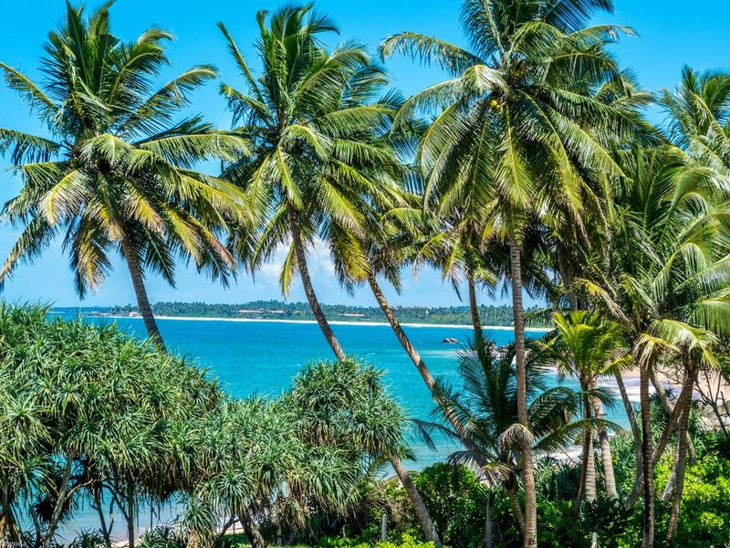 Calamansi Cove By Jetwing  109599