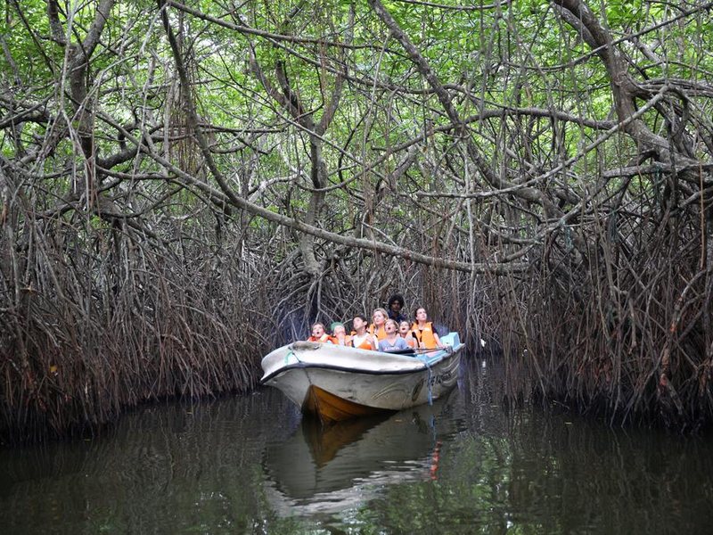 Calamansi Cove By Jetwing  109611