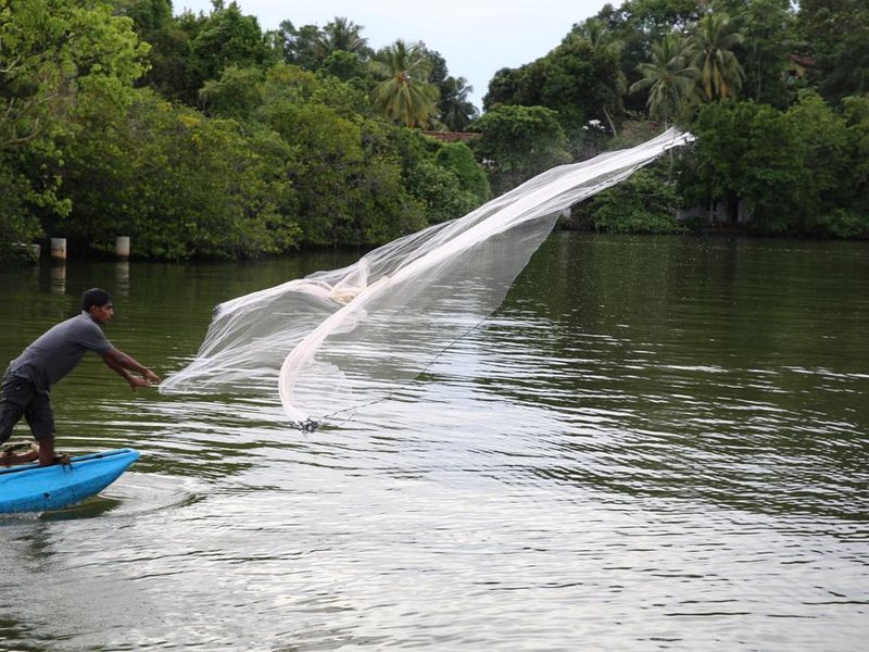 Calamansi Cove By Jetwing  109615