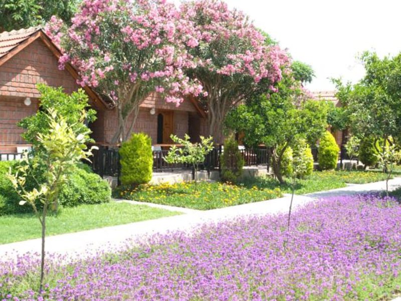 Can Garden Resort 146133