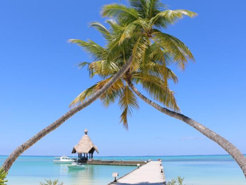 Canareef Resort (ex 133978