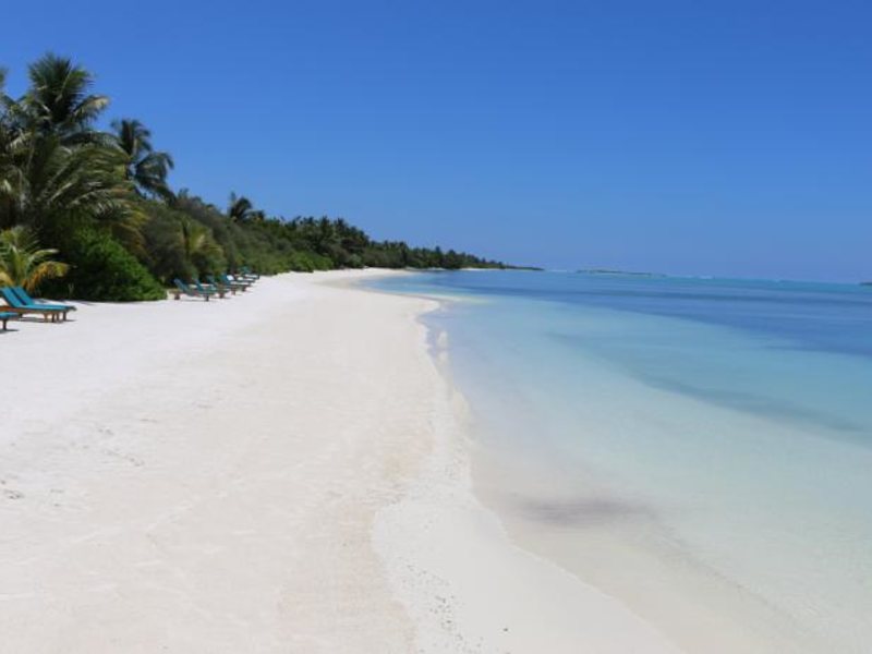 Canareef Resort (ex 133984